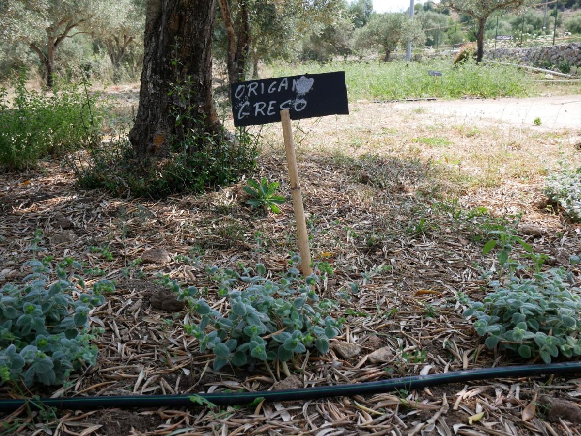 SortinoPantalica Ranch Agriturismo Siciliano别墅 外观 照片