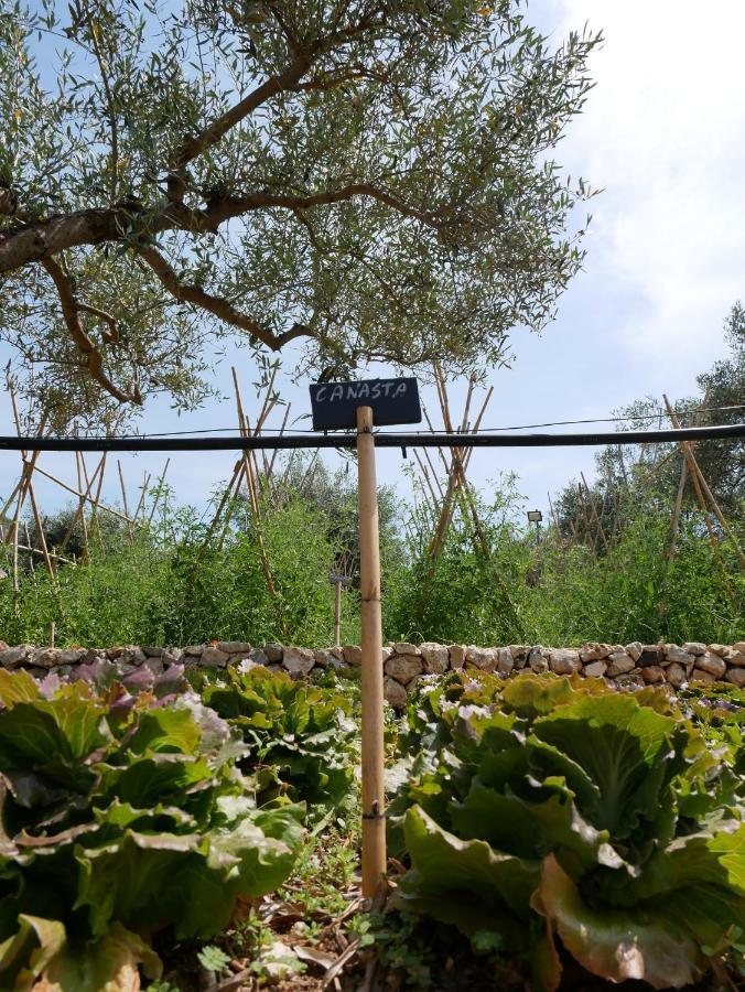 SortinoPantalica Ranch Agriturismo Siciliano别墅 外观 照片