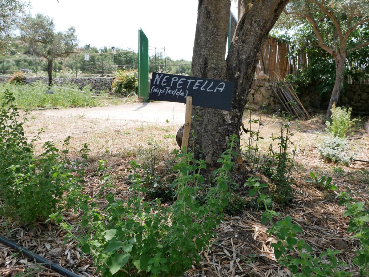 SortinoPantalica Ranch Agriturismo Siciliano别墅 外观 照片