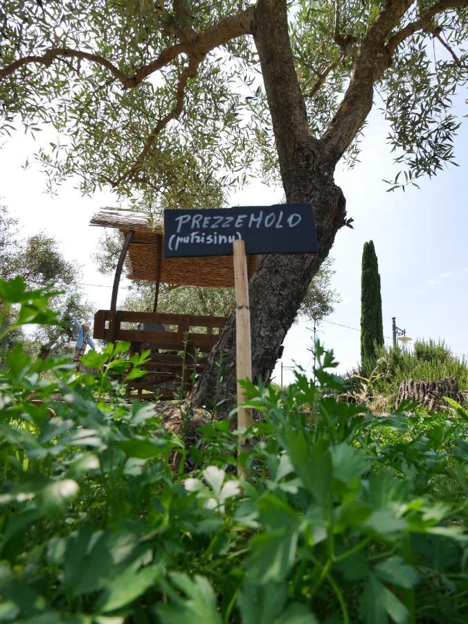 SortinoPantalica Ranch Agriturismo Siciliano别墅 外观 照片