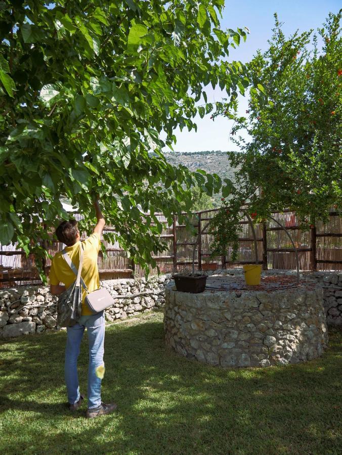 SortinoPantalica Ranch Agriturismo Siciliano别墅 外观 照片