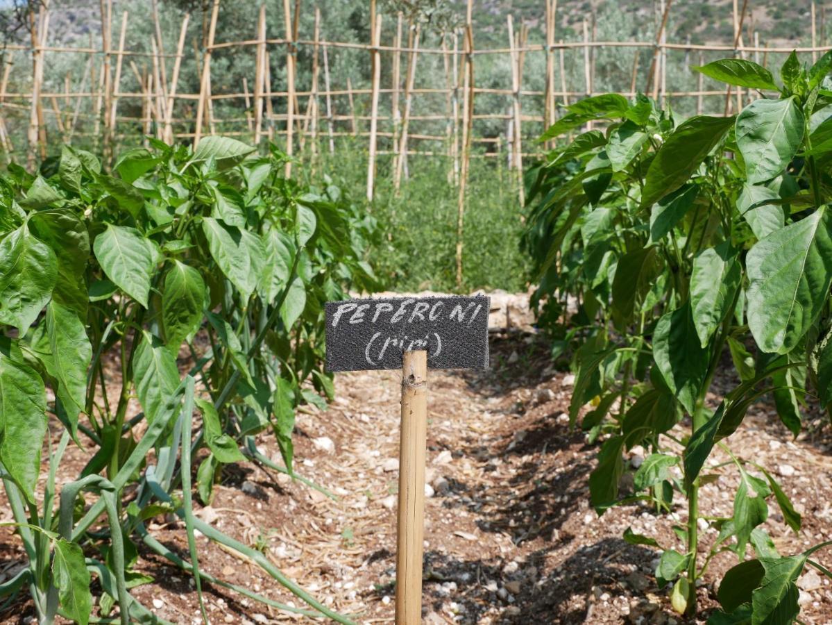 SortinoPantalica Ranch Agriturismo Siciliano别墅 外观 照片