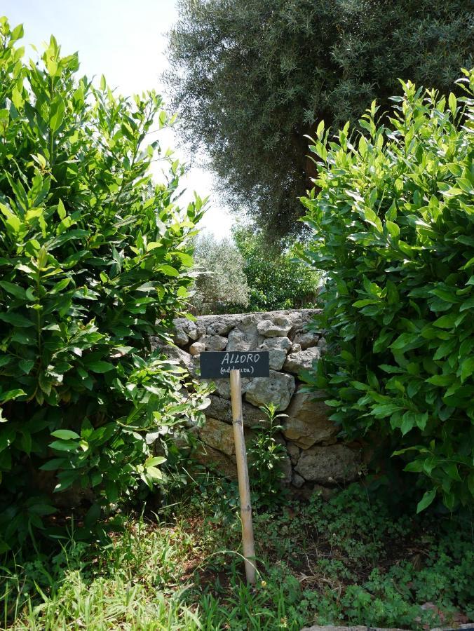 SortinoPantalica Ranch Agriturismo Siciliano别墅 外观 照片