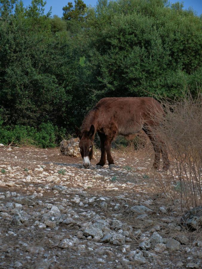 SortinoPantalica Ranch Agriturismo Siciliano别墅 外观 照片