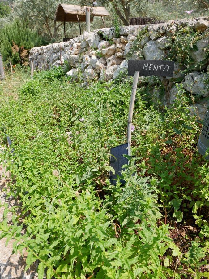 SortinoPantalica Ranch Agriturismo Siciliano别墅 外观 照片
