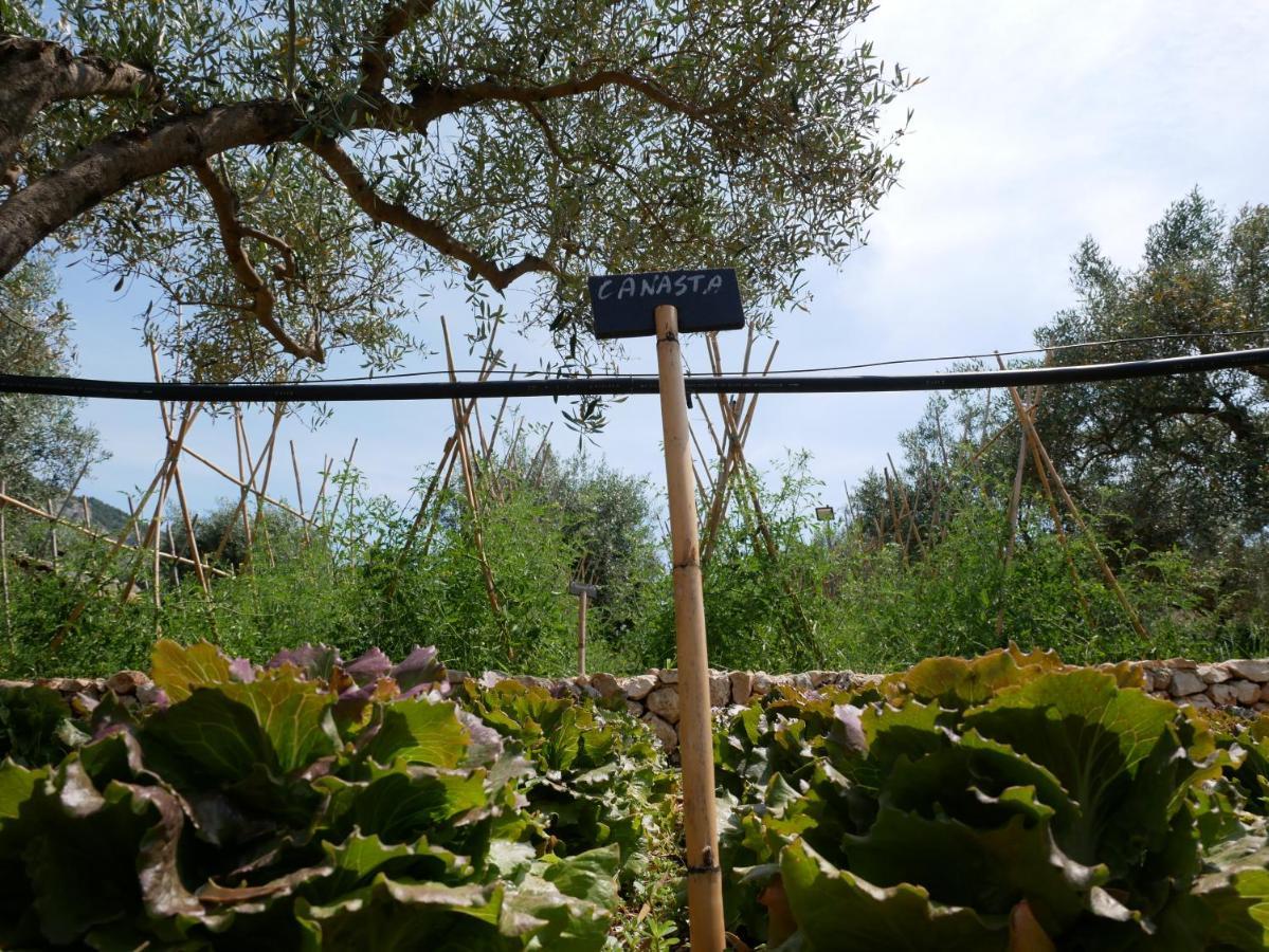 SortinoPantalica Ranch Agriturismo Siciliano别墅 外观 照片