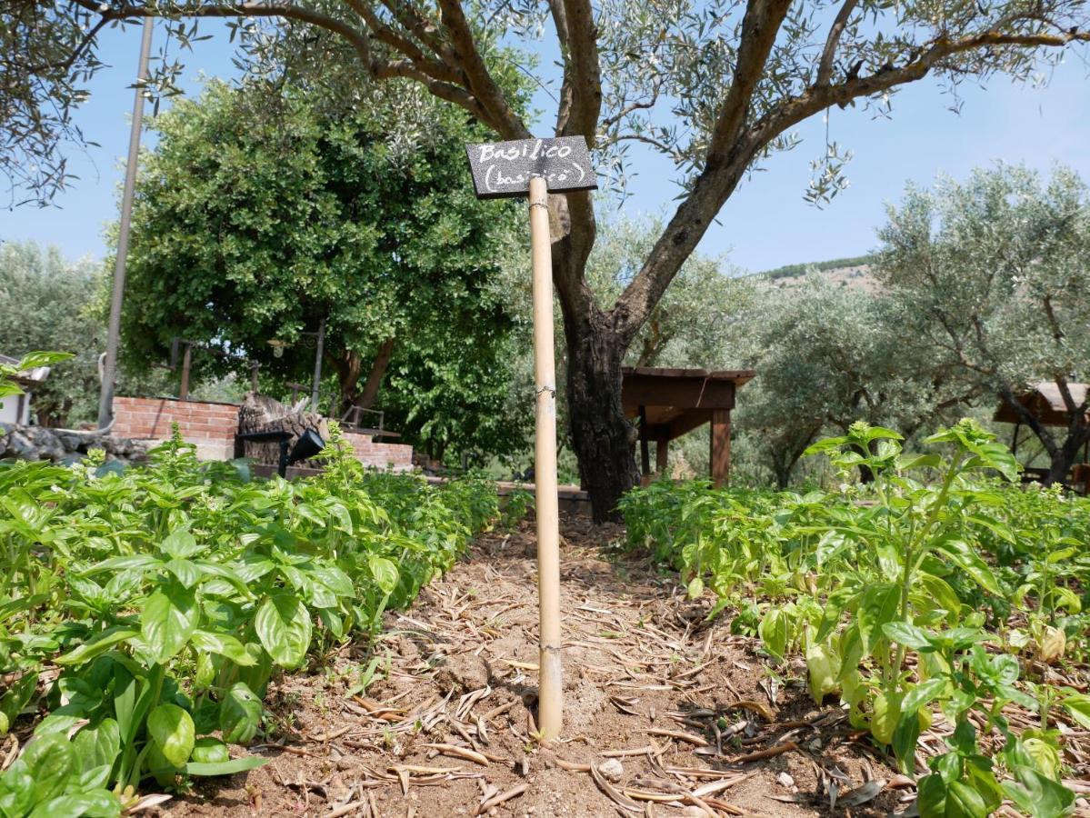 SortinoPantalica Ranch Agriturismo Siciliano别墅 外观 照片